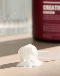 Creatine & Amino (5/5)