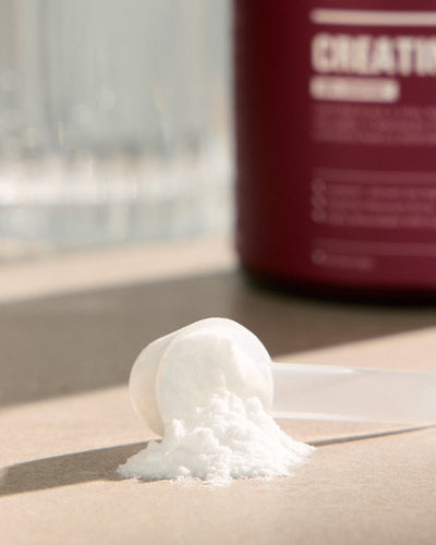 Creatine & Amino (5/5)